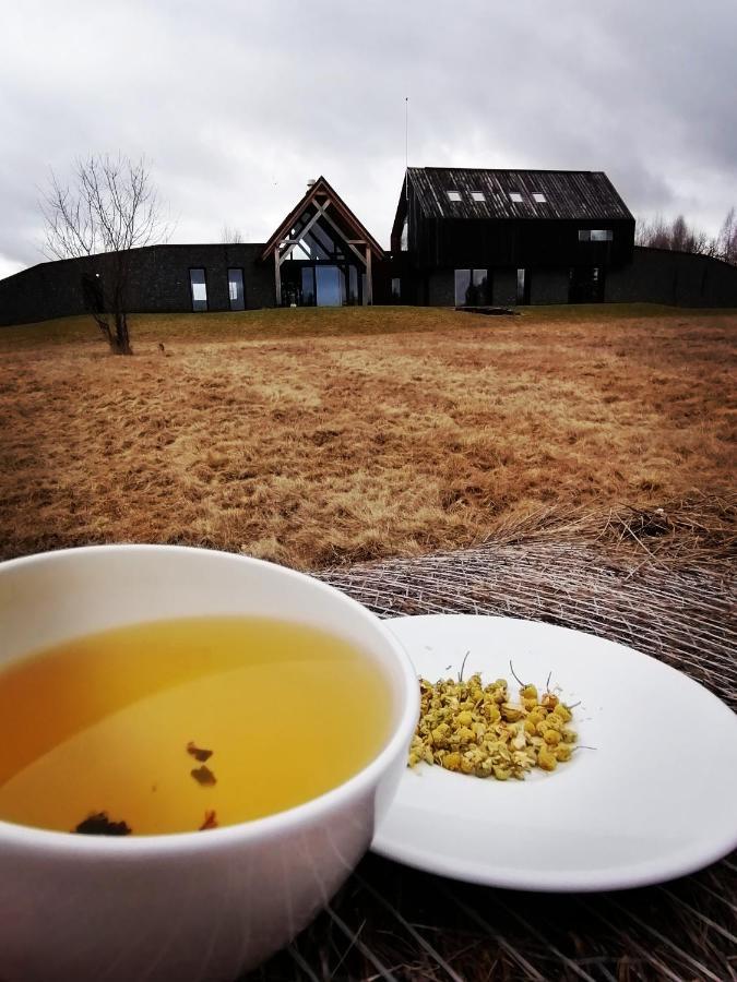 Beechtree Property Izvoare  Zewnętrze zdjęcie