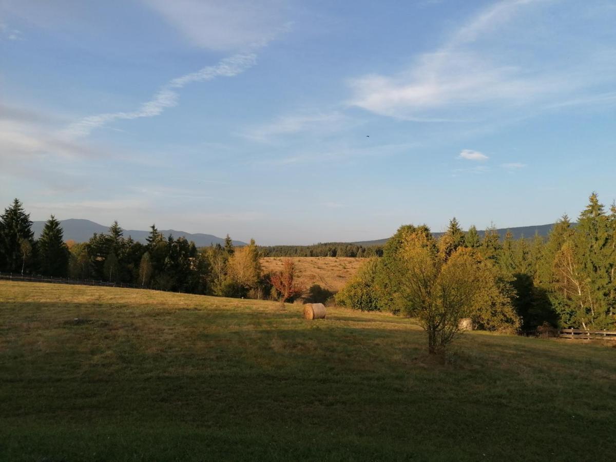 Beechtree Property Izvoare  Zewnętrze zdjęcie